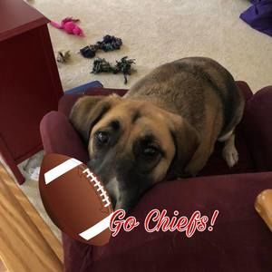 Meet your Posher, Vicky